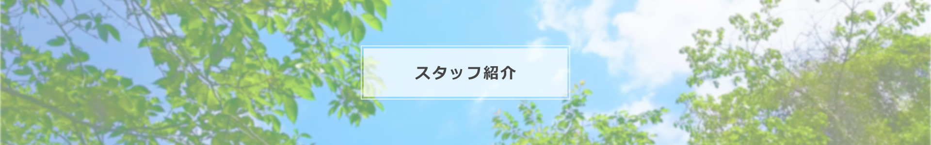 スタッフ紹介